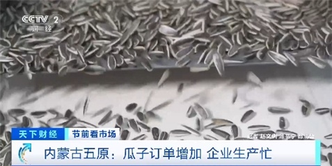 春节前瓜子订单迎高峰 这里的加工企业24小时不停产 春节前瓜子订单迎高峰 这里的加工企业24小时不停产