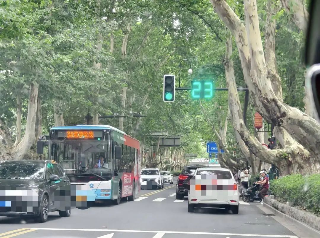 “plus版”红绿灯火了!治好了“闯红灯”人的近视眼 “plus版”红绿灯火了!治好了“闯红灯”人的近视眼