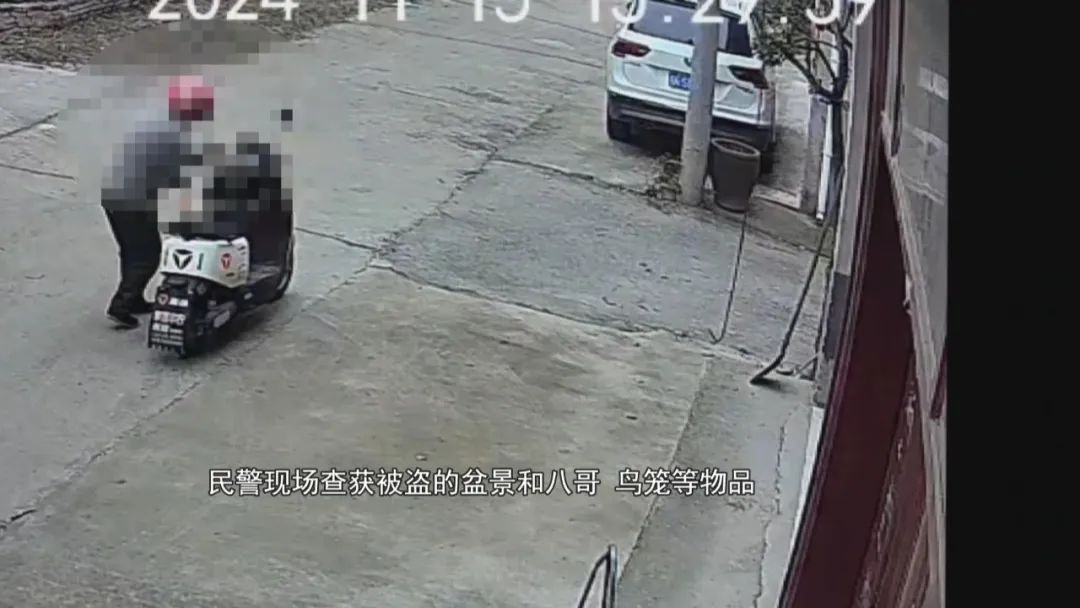 太和：爱花爱鸟成瘾，男子偷盗八哥窃盆景，监控拍下...