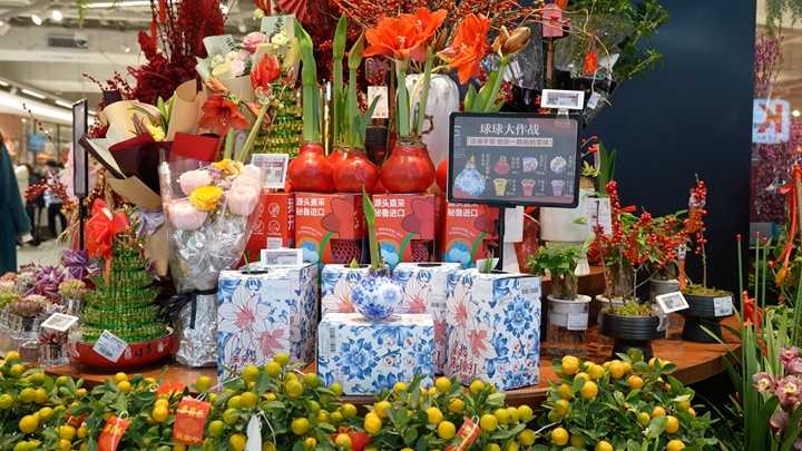 年宵花“受宠”