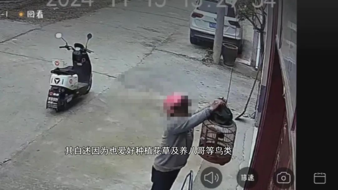 太和：爱花爱鸟成瘾，男子偷盗八哥窃盆景，监控拍下...