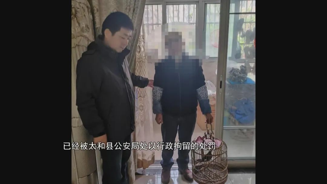 太和：爱花爱鸟成瘾，男子偷盗八哥窃盆景，监控拍下...