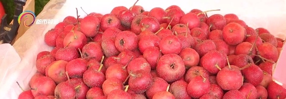 小心这种新上市的水果!吃多会恶心、胃胀、胃痛,严重可能要去洗胃...... 小心这种新上市的水果!吃多会恶心、胃胀、胃痛,严重可能要去洗胃......