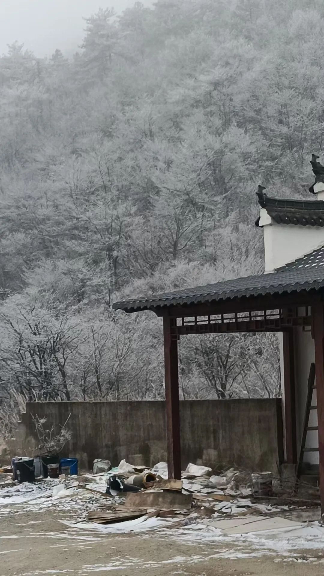 杭州这里下雪了！明后天最低-7℃……