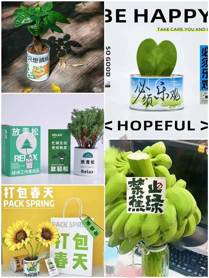 年宵花“受宠”