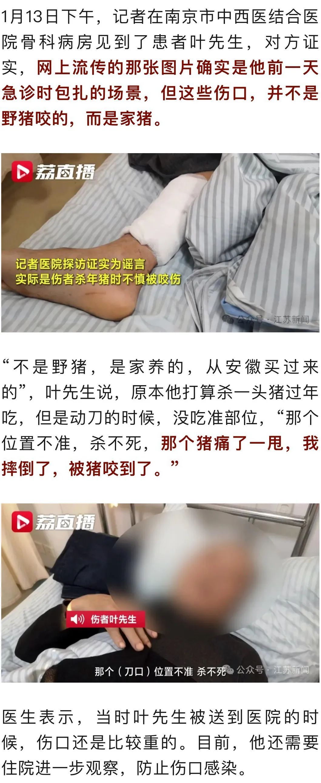 南京一男子被野猪咬伤骨折？真相来了