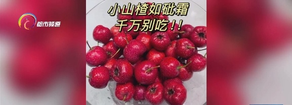 小心这种新上市的水果!吃多会恶心、胃胀、胃痛,严重可能要去洗胃...... 小心这种新上市的水果!吃多会恶心、胃胀、胃痛,严重可能要去洗胃......