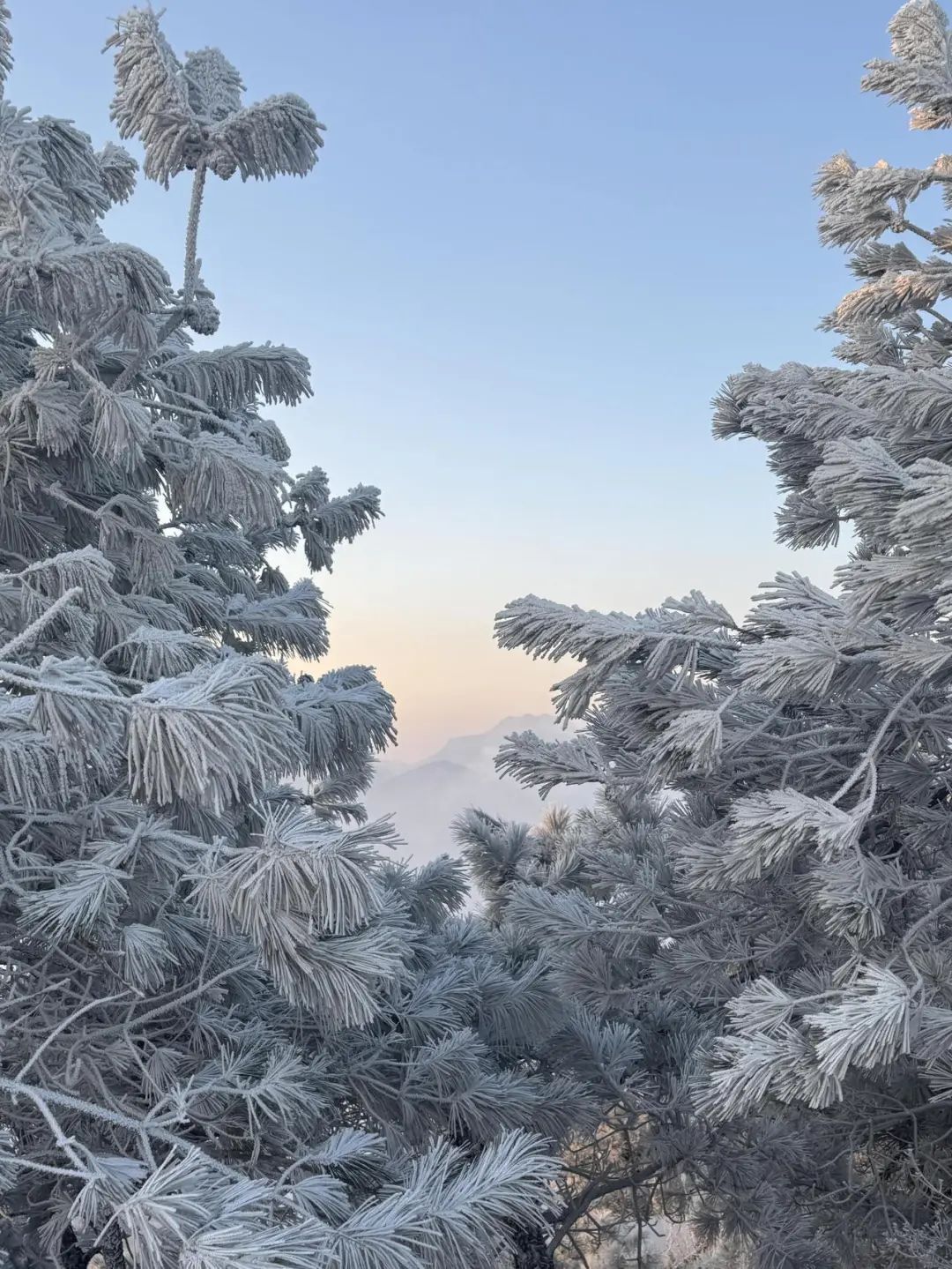 杭州这里下雪了！明后天最低-7℃……