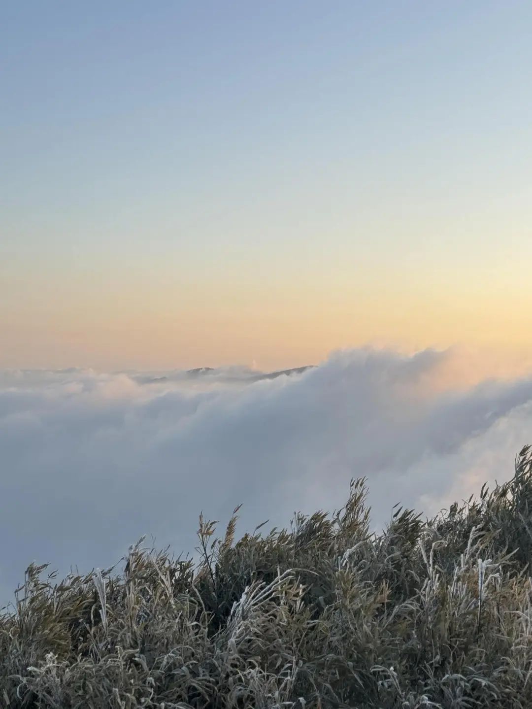 杭州这里下雪了！明后天最低-7℃……