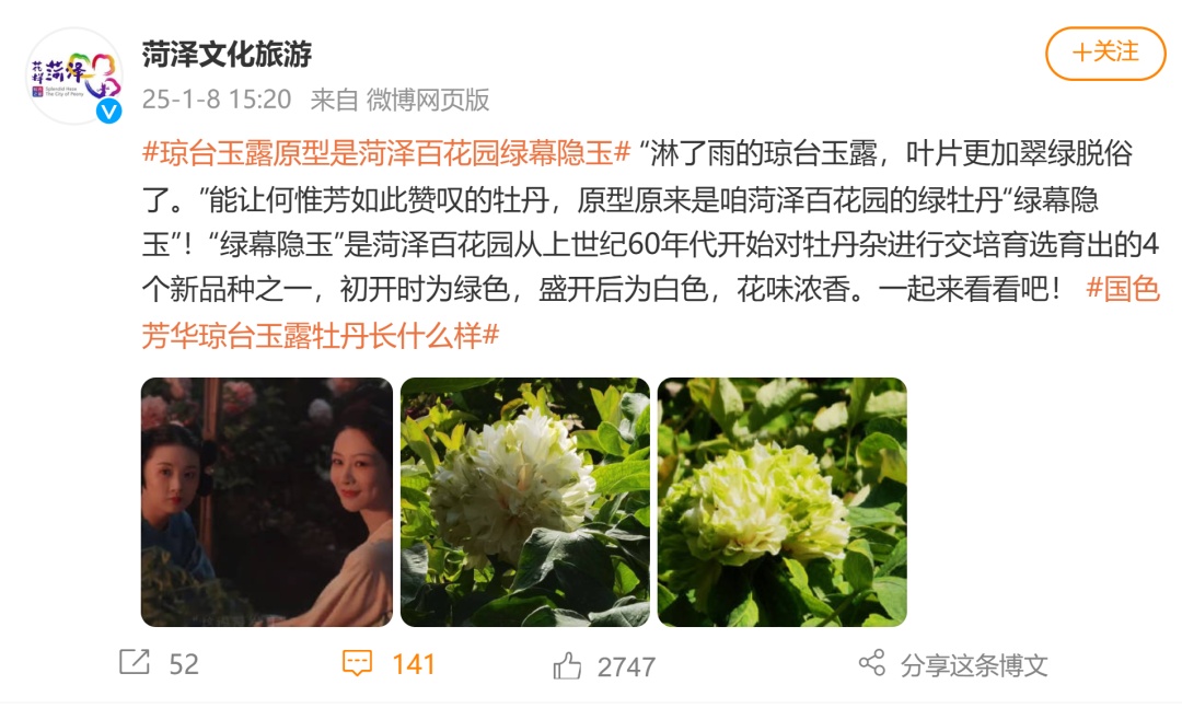 爆火的《国色芳华》牡丹原型来自这里！菏泽文旅喊话......