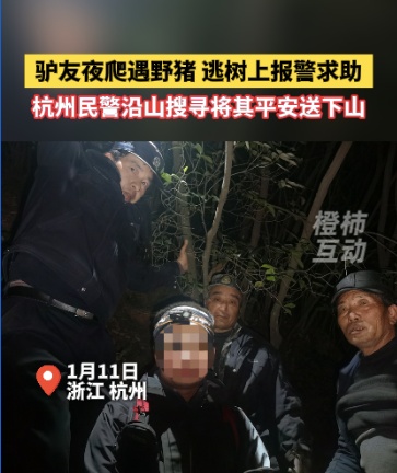 一男子深夜报警，“我现在在树上，野猪在下面……”