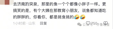 “趵突泉锦鲤要减肥”，冲上热搜！方案公布，网友：懂了懂了