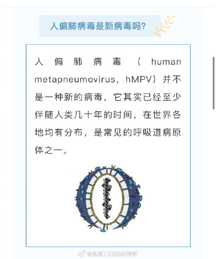 人偏肺病毒不是新病毒！如何应对看这里！