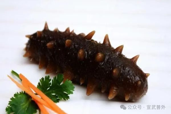 揭开海参的营养真相！