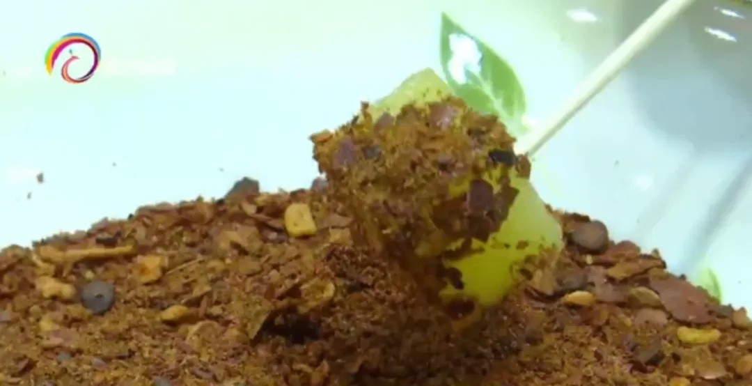 云南人家家户户必不可缺!春节饭桌上的硬菜必备…… 云南人家家户户必不可缺!春节饭桌上的硬菜必备……