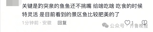 “趵突泉锦鲤要减肥”，冲上热搜！方案公布，网友：懂了懂了