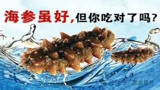 揭开海参的营养真相！