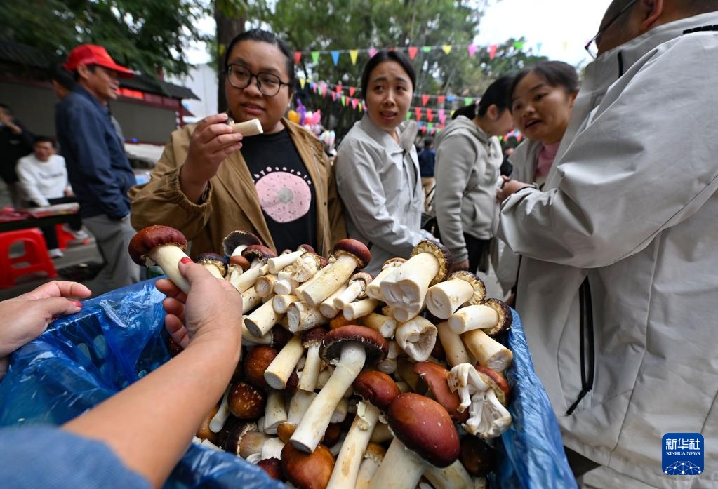 新春走基层丨海南五指山:山城年货集市旺 新春走基层丨海南五指山:山城年货集市旺