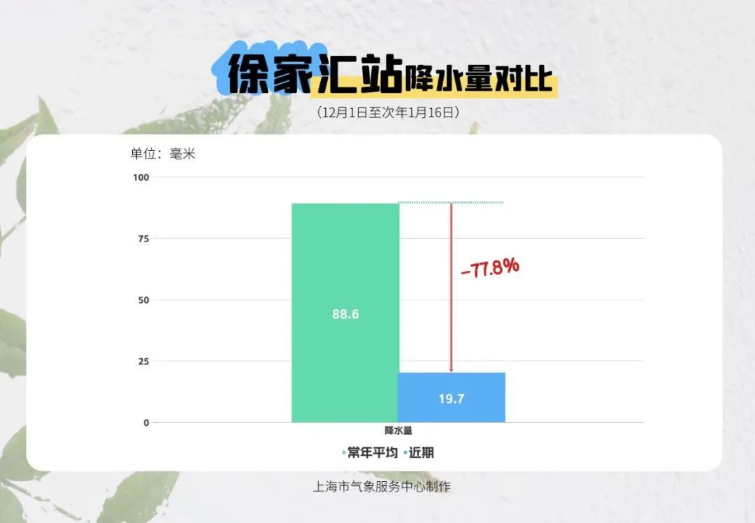 上海多区发布低温、霜冻预警！周日猛升至15℃，干到啥程度？