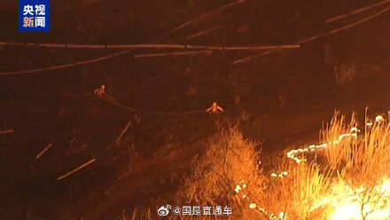 美国加州山火：大火未灭小火又起