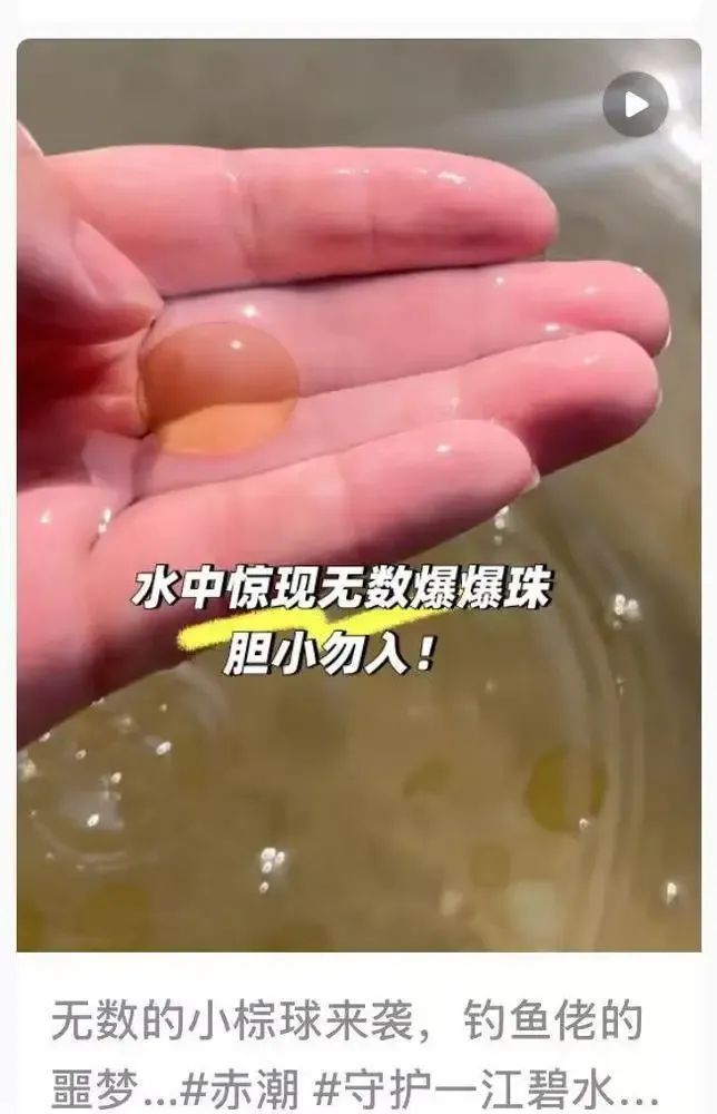 广东多地海边惊现“爆爆珠”!多部门紧急提醒→ 广东多地海边惊现“爆爆珠”!多部门紧急提醒→