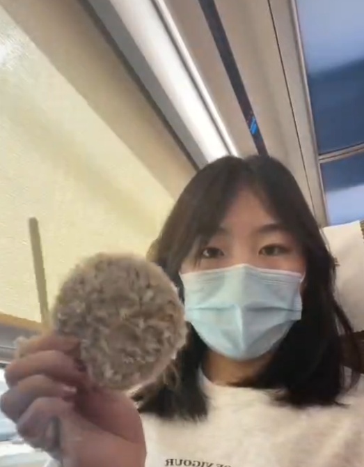 高铁6小时能干啥?这个手艺活适合冬天 高铁6小时能干啥?这个手艺活适合冬天