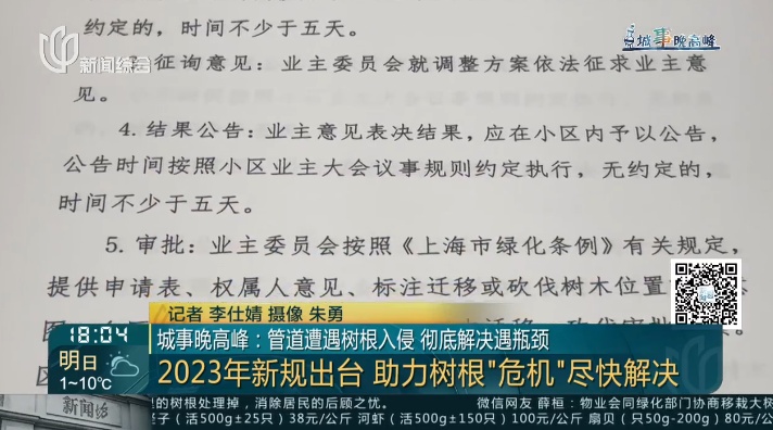 生命力太旺盛！树根入侵，家里遭殃…上海姐妹俩傻眼，转机来了