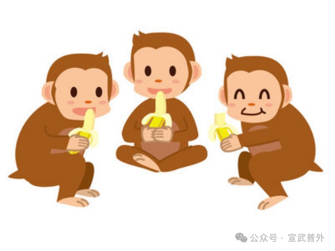 “香蕉快乐秘籍:解锁运动中的小确幸” “香蕉快乐秘籍:解锁运动中的小确幸”