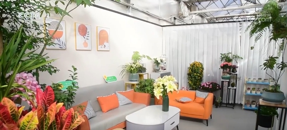 节日市场红红火火,文化味、年味儿……好一幅人间烟火气的“年俗画” 节日市场红红火火,文化味、年味儿……好一幅人间烟火气的“年俗画”