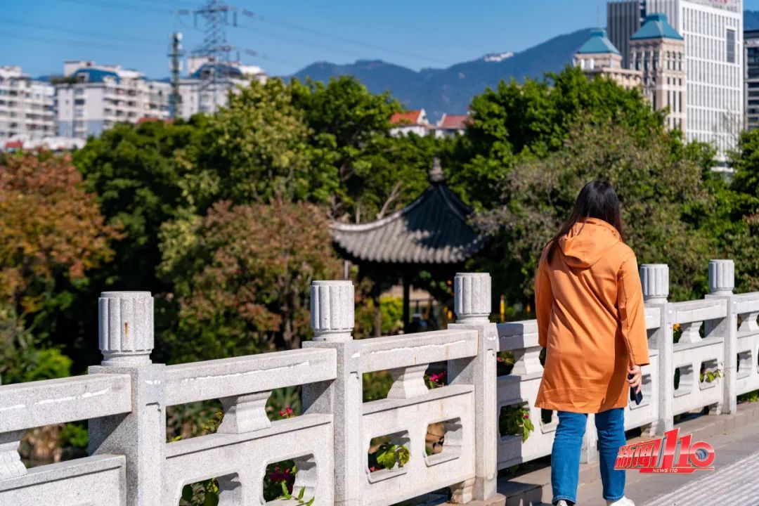 降幅超过10℃！又有冷空气要来？福州的树已经“冻”到……