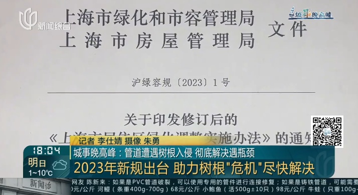 生命力太旺盛！树根入侵，家里遭殃…上海姐妹俩傻眼，转机来了