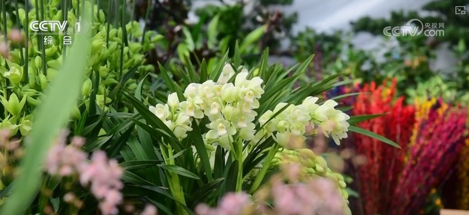 节日市场红红火火,文化味、年味儿……好一幅人间烟火气的“年俗画” 节日市场红红火火,文化味、年味儿……好一幅人间烟火气的“年俗画”