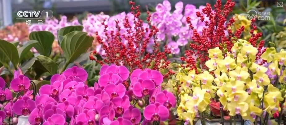 节日市场红红火火,文化味、年味儿……好一幅人间烟火气的“年俗画” 节日市场红红火火,文化味、年味儿……好一幅人间烟火气的“年俗画”