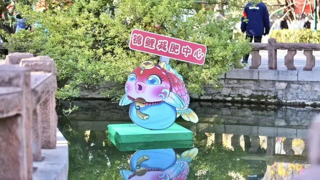 趵突泉景区回应设“锦鲤减肥中心”：只是提醒不投喂，帮鱼减肥是误传