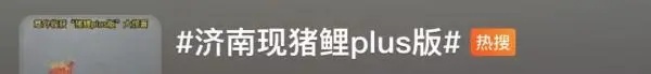 再喂就嘎了！趵突泉“猪鲤”开始减肥啦！