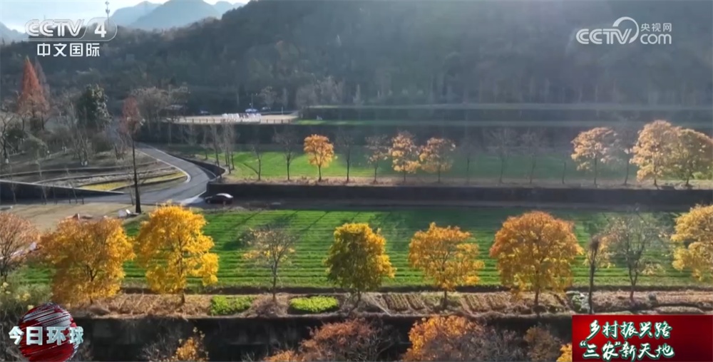 “数字游民”为乡村扩大“朋友圈” 新业态蓬勃兴起打造“三农”新天地 “数字游民”为乡村扩大“朋友圈” 新业态蓬勃兴起打造“三农”新天地