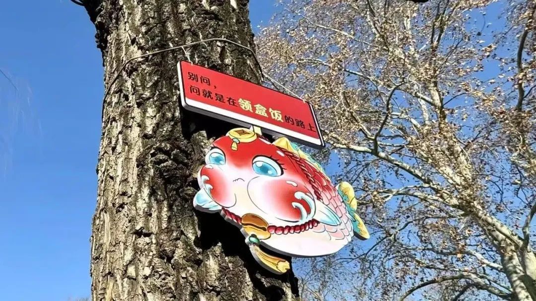 趵突泉景区回应设“锦鲤减肥中心”：只是提醒不投喂，帮鱼减肥是误传