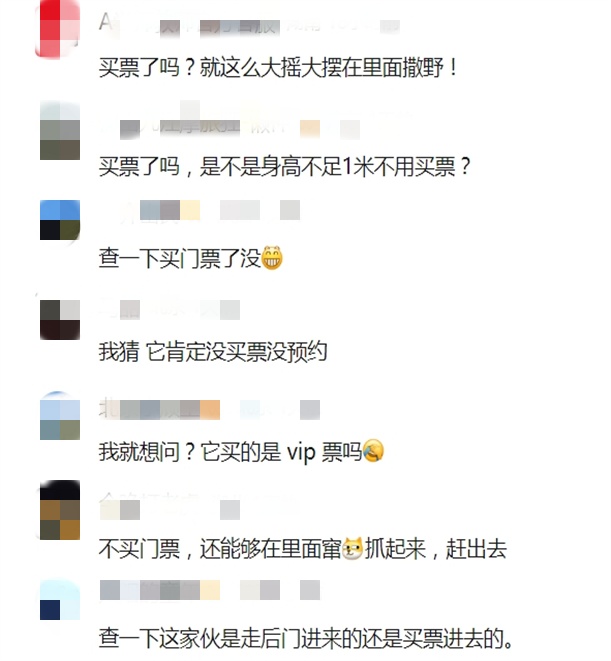 兵马俑坑惊现跑酷小松鼠！网友：买票了吗？官方回应