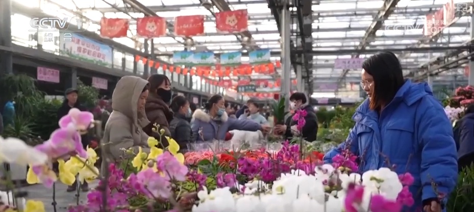 节日市场红红火火,文化味、年味儿……好一幅人间烟火气的“年俗画” 节日市场红红火火,文化味、年味儿……好一幅人间烟火气的“年俗画”