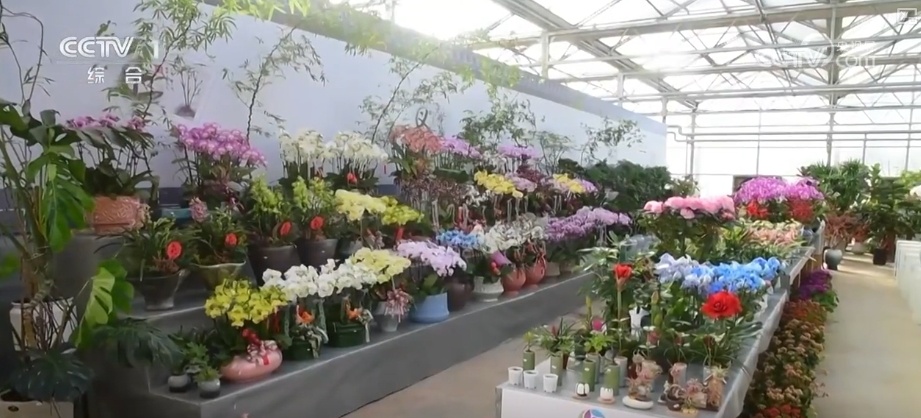 节日市场红红火火,文化味、年味儿……好一幅人间烟火气的“年俗画” 节日市场红红火火,文化味、年味儿……好一幅人间烟火气的“年俗画”