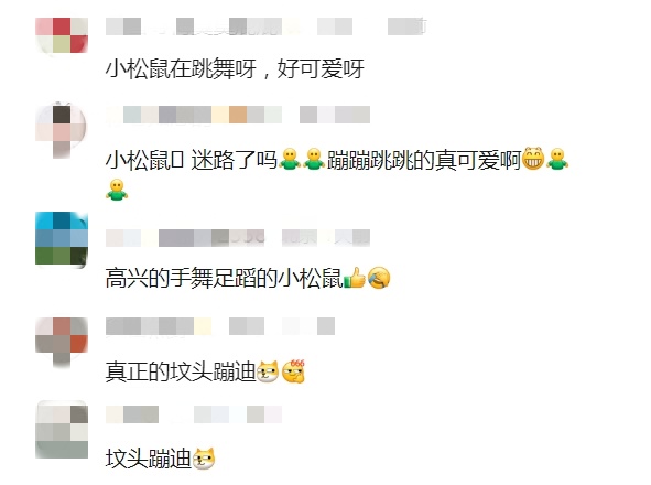 兵马俑坑惊现跑酷小松鼠！网友：买票了吗？官方回应