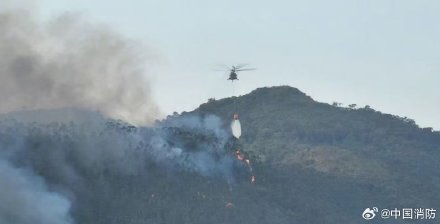 广东肇庆山火明火已扑灭