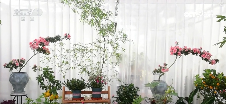 节日市场红红火火,文化味、年味儿……好一幅人间烟火气的“年俗画” 节日市场红红火火,文化味、年味儿……好一幅人间烟火气的“年俗画”