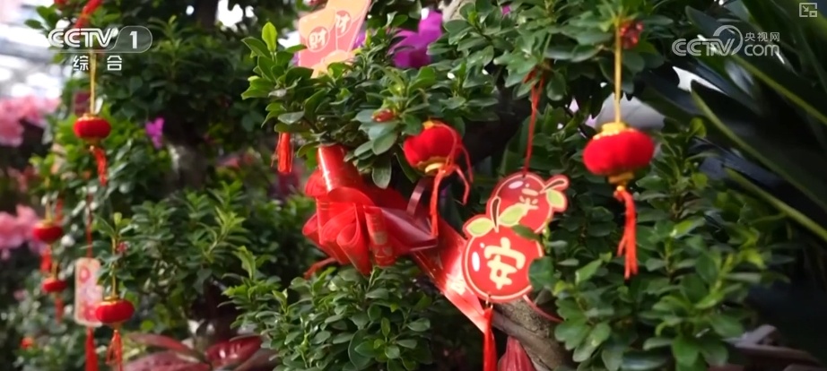 节日市场红红火火,文化味、年味儿……好一幅人间烟火气的“年俗画” 节日市场红红火火,文化味、年味儿……好一幅人间烟火气的“年俗画”