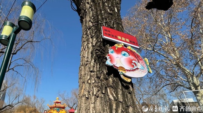 “趵突泉锦鲤要减肥”冲上热搜!方案公布→网友:还是要管住嘴啊 “趵突泉锦鲤要减肥”冲上热搜!方案公布→网友:还是要管住嘴啊