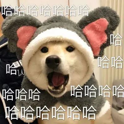 需求量激增，价格上涨，不少上海人根本排不上！有人提前2个月预定......