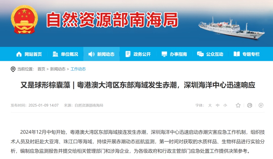 广州海边密集出现“爆爆珠”?多地紧急提醒! 广州海边密集出现“爆爆珠”?多地紧急提醒!