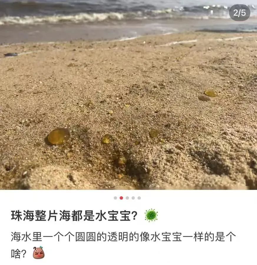 广州海边密集出现“爆爆珠”?多地紧急提醒! 广州海边密集出现“爆爆珠”?多地紧急提醒!