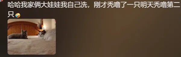 价格普遍上涨50%还排不到！有人提前2个月预定，网友：有必要吗？