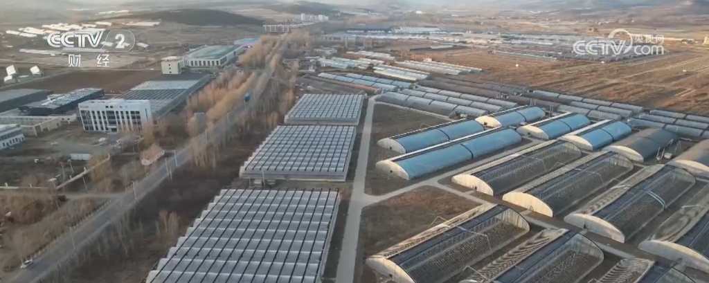 节前年货市场琳琅满目购销两旺 “舌尖上的美食”开启浓浓年味 节前年货市场琳琅满目购销两旺 “舌尖上的美食”开启浓浓年味
